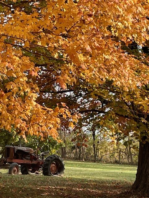 Fall Splendor!